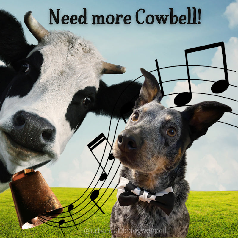 Magnet - Need More Cowbell