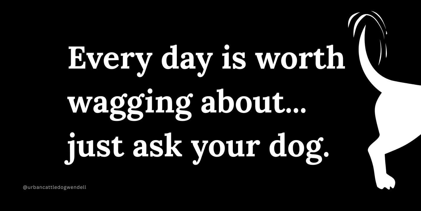 Bumper Sticker - Every Day Is Worth Wagging About
