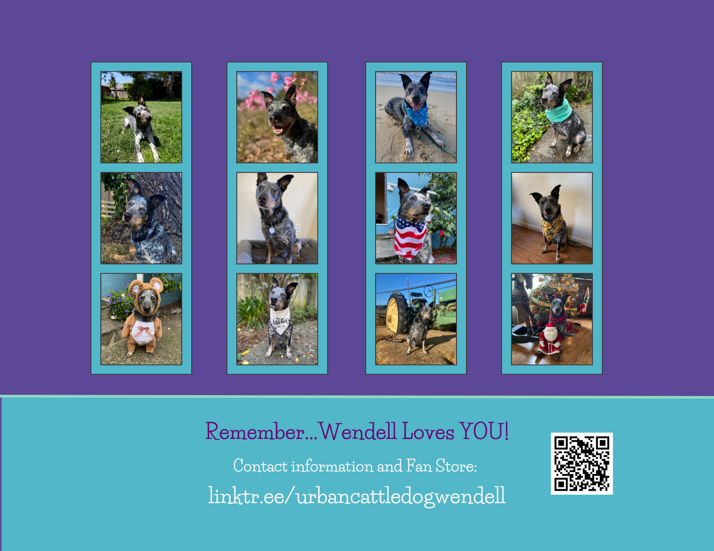 Calendar 2025 - Wendell the Urban Cattle Dog