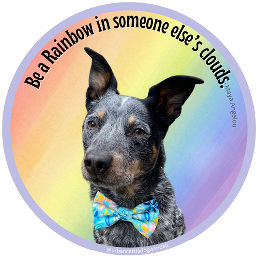 Sticker - Be a Rainbow in someone else's clouds.