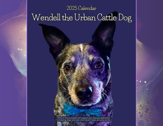 Calendar 2025 - Wendell the Urban Cattle Dog