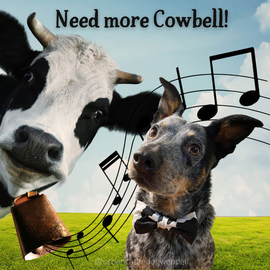 Magnet - Need More Cowbell