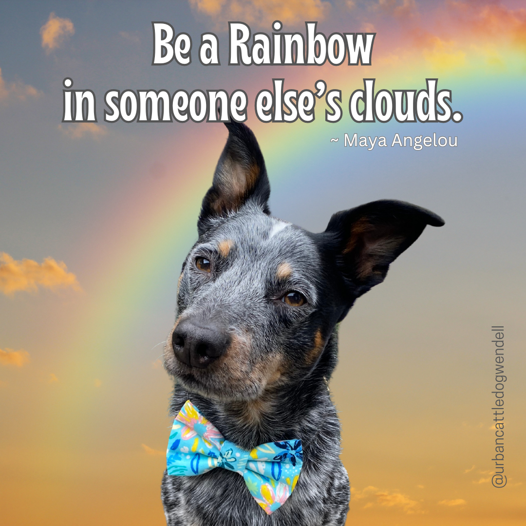 Magnet - Be a Rainbow in someone else's clouds.