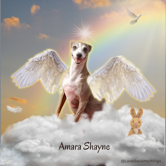 Digital - Rainbow Bridge Digital Tribute for any Pet - Dog, Cat, Horse