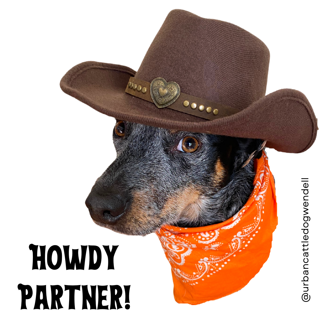 Sticker - Howdy Partner