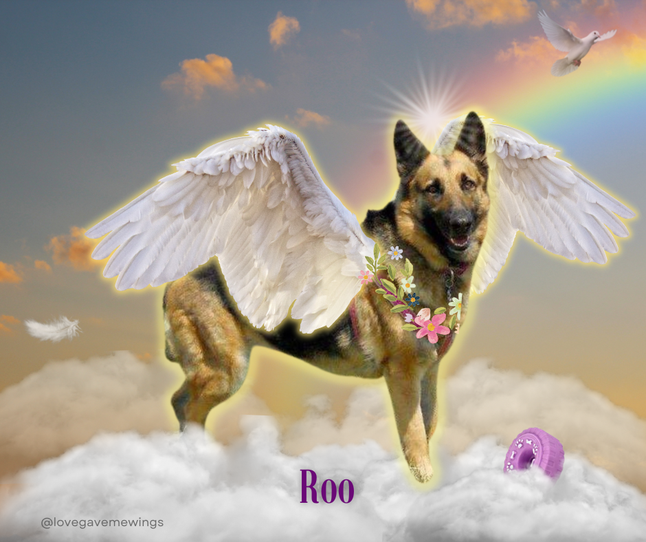 Digital - Rainbow Bridge Digital Tribute for any Pet - Dog, Cat, Horse