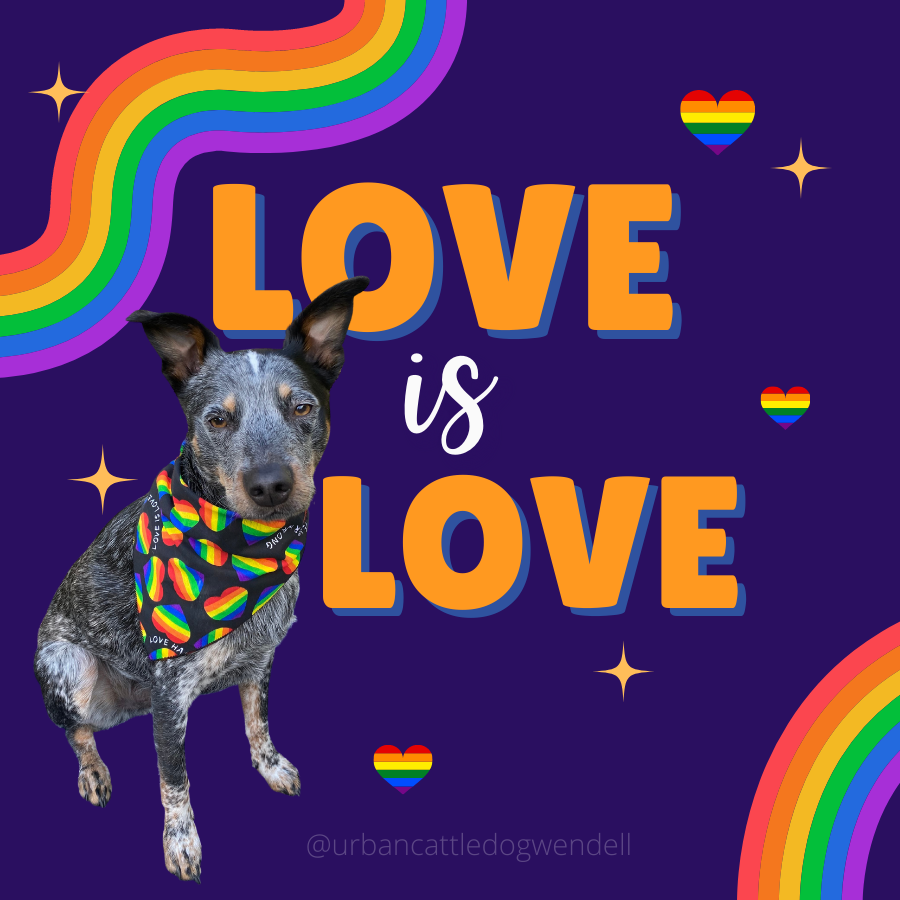 Sticker - Love is Love